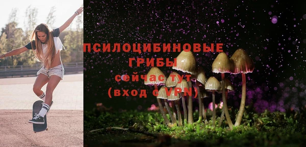 молекула духа Алзамай