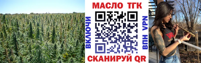 shop какой сайт  Лагань  ТГК гашишное масло  как найти  