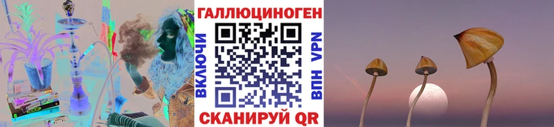 Псилоцибиновые грибы прущие грибы  цена   Лагань 
